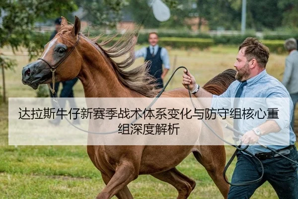 da-la-si-niu-zai-xin-sai-ji-zhan-shu-ti-xi-bian-hua-yu-fang-shou-zu-he-xin-chong-zu-shen-du-jie-xi-2-776.jpg